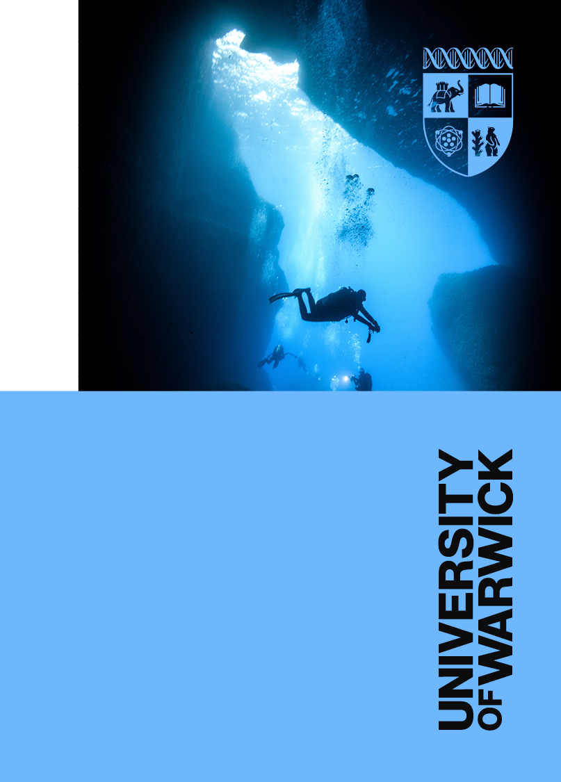 Wordmark and image split usage on blue background